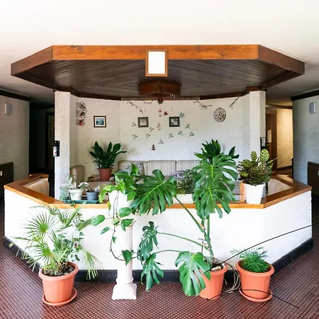 Appartamento The Nest Alpine Sunshine Ski-in Ski-out *